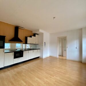 Woning aan de Swammerdamsingel te Schiedam