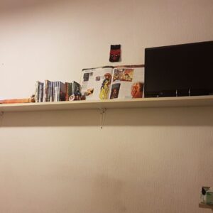 Studio in Stichtse Vecht