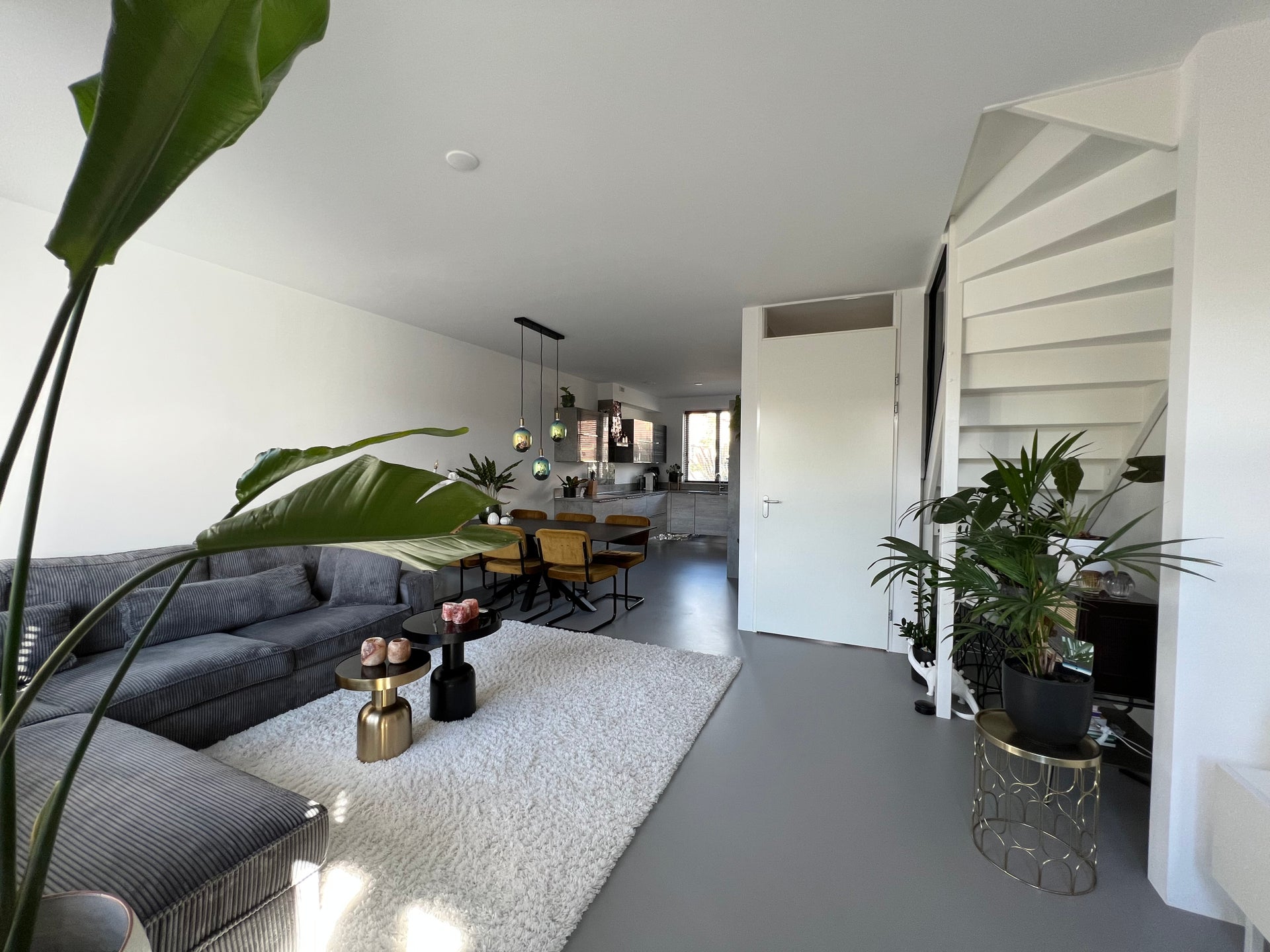 H103571113-86079-f857a6c5