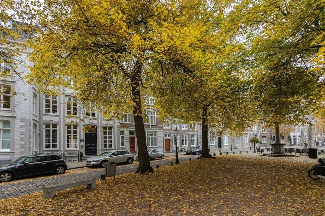 Woning aan de Grote Looiersstraat te Maastricht