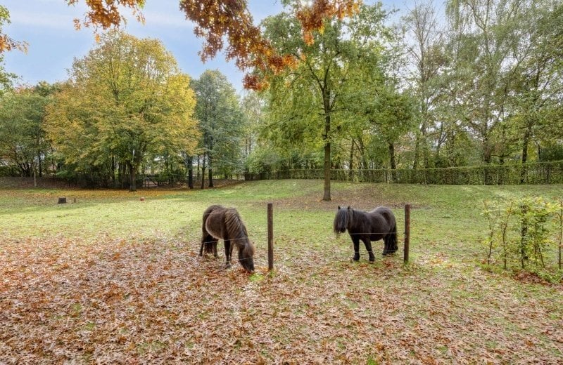 Woning aan de Oudvensestraat te Mierlo