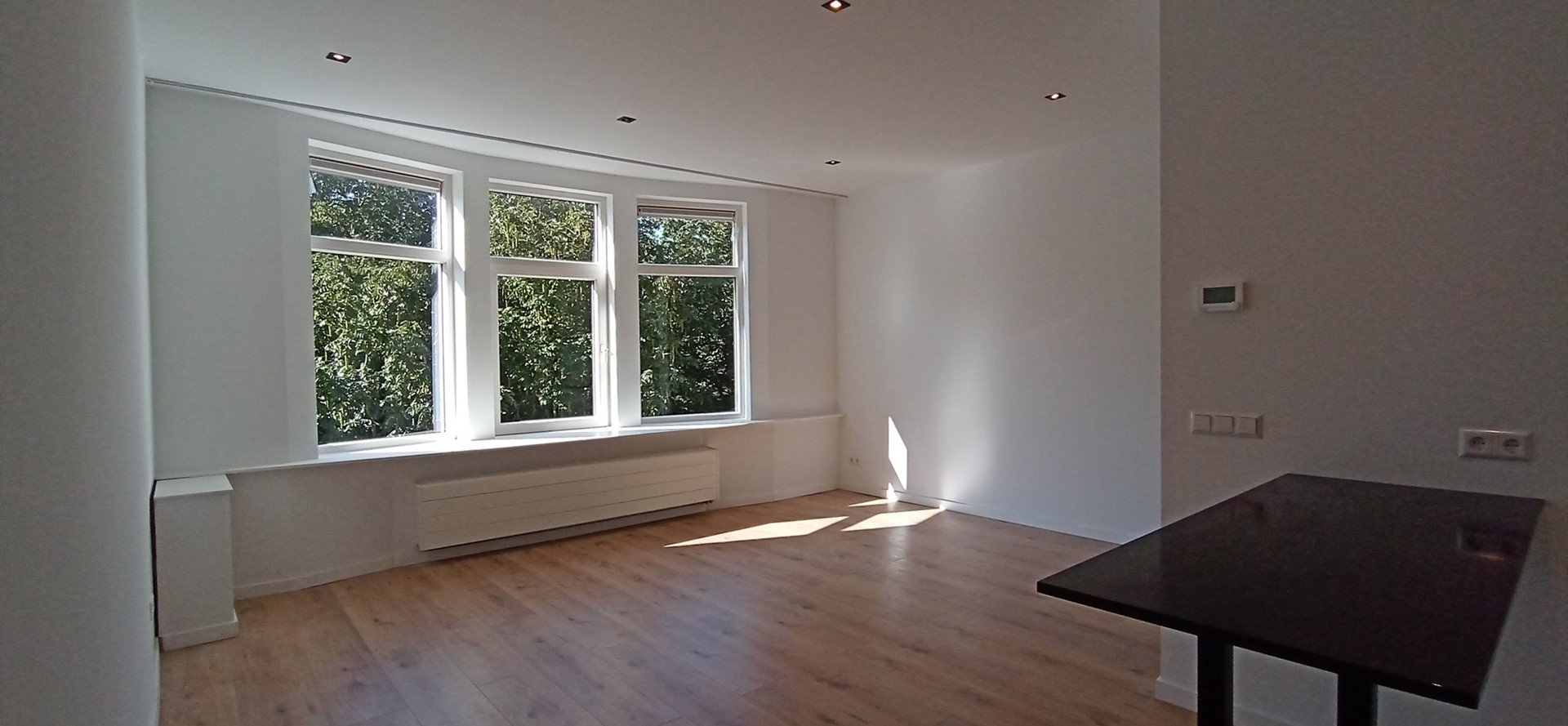 Woning aan de Snelliussingel te Schiedam