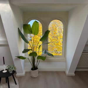 Woning aan de Burgemeester Reigerstraat te Utrecht