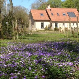 Studio in Oostvoorne