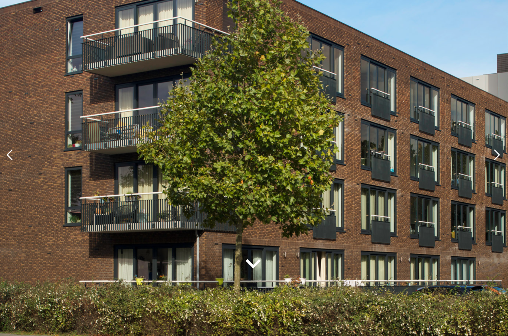 Woning aan de Pisanostraat te Eindhoven