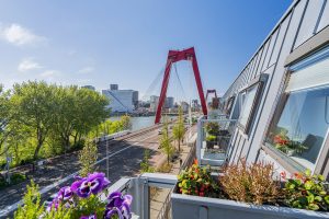 Woning aan de Prins Frederikplein te Rotterdam
