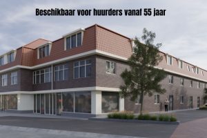 Appartement in Dantumadiel