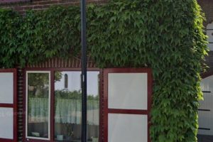 Kamer in Maasgouw