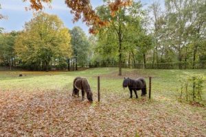 Woning aan de Oudvensestraat te Mierlo