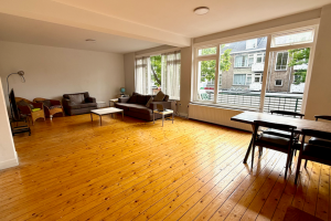 Woning aan de Theresiastraat te Den Haag