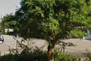 Studio in Duivendrecht