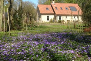 Studio in Voorne aan Zee