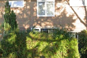 Kamer in Laren