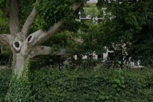 Woonhuis in Utrechtse Heuvelrug