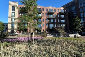 Kamer in Bergen op Zoom
