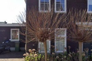 Kamer in Land van Cuijk